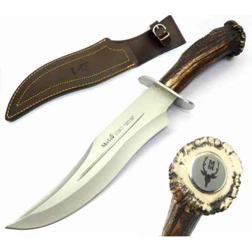 Muela Lobo 23s