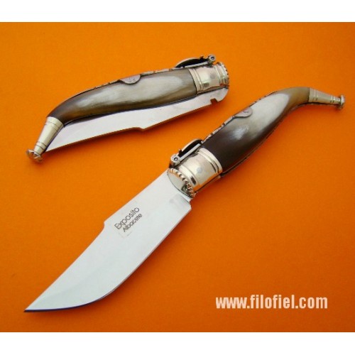 Exposito Albacete m103 Asta Toro nº 1