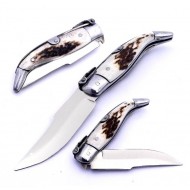 A. Cuesta Albacete 00 Ciervo A. Cuesta Albacete 00 Ciervo