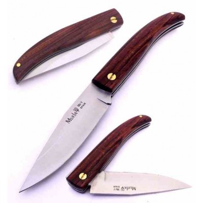 Muela P8nl Muela P8nl