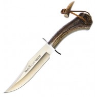 Muela Albar 18h Muela Albar 18h