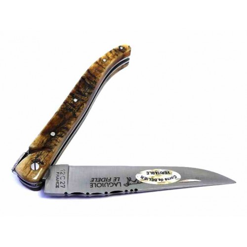 Le Fidele Laguiole Ram 2838