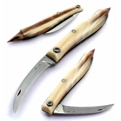 Cognet Le Truffier trucb Cognet Le Truffier trucb