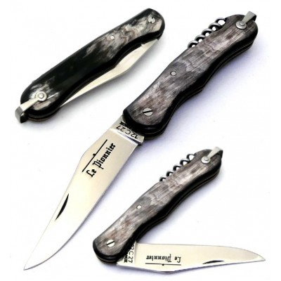 Douris Chastel Le Pionnier Cuerno 1702 Douris Chastel Le Pionnier Cuerno 1702