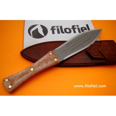 Condor African Bush ctk280773 Condor African Bush ctk280773