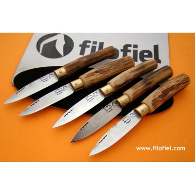 Ferreira G. Cabritera Encina