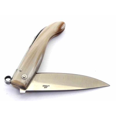 Nino Nista Saracca Romagnola 20 r/s20 Nino Nista Saracca Romagnola 20 r/s20