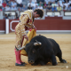 Puntilla Descabello Bullfighting Bellota Point