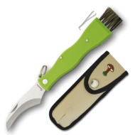 Mushrooms Folder 18391 Mushrooms Folder 18391