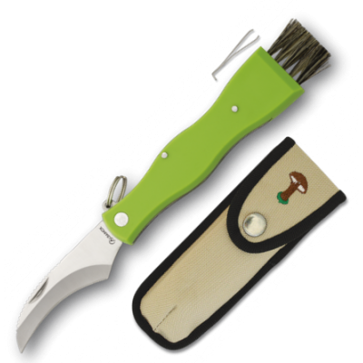 Mushrooms Folder 18391 Mushrooms Folder 18391