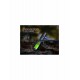 Fenix Linterna PD36R V2.0 1700 lumens