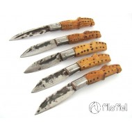 Jose Ares Maragata Bota Jose Ares Maragata Bota