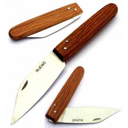 F. Bueno Recta Encina e003