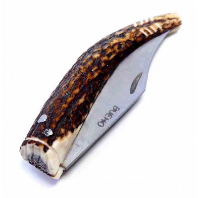 F. Bueno Curva 75 Ciervo a004 F. Bueno Curva 75 Ciervo a004