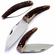 F. Bueno Recta 90 Ciervo a001 F. Bueno Recta 90 Ciervo a001