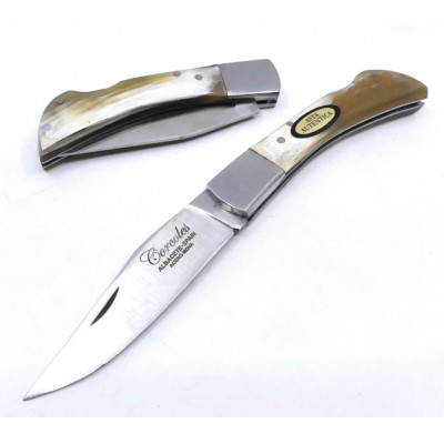 Corcoles Caza Bloqueo Toro