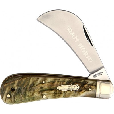 Marbles Hawkbill Rams Horn mr364 Marbles Hawkbill Rams Horn mr364