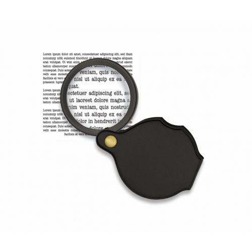 Portable Magnifying Glass 33890