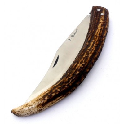 F. Bueno Montera Curva Ciervo F. Bueno Montera Curva Ciervo