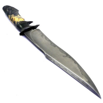 Barbudo Dragon de Cuera Presidios W2 Elm Barbudo Dragon de Cuera Presidios W2 Elm