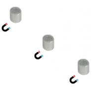 Showcase Fixing Magnets 21090