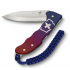 Victorinox Evoke Azul/Rojo 0.9415.d221