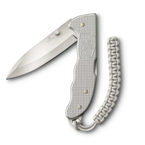 Victorinox Evoke Plateada 0.9415.d26