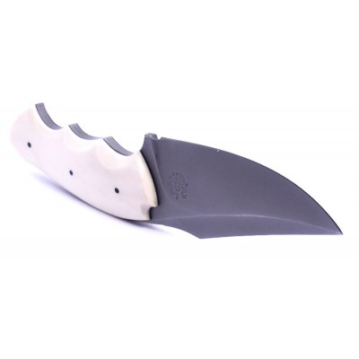 Delbart Fabrice Elforyn Craneo  Delbart Fabrice Elforyn Craneo