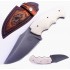 Delbart Fabrice Elforyn Craneo  Delbart Fabrice Elforyn Craneo