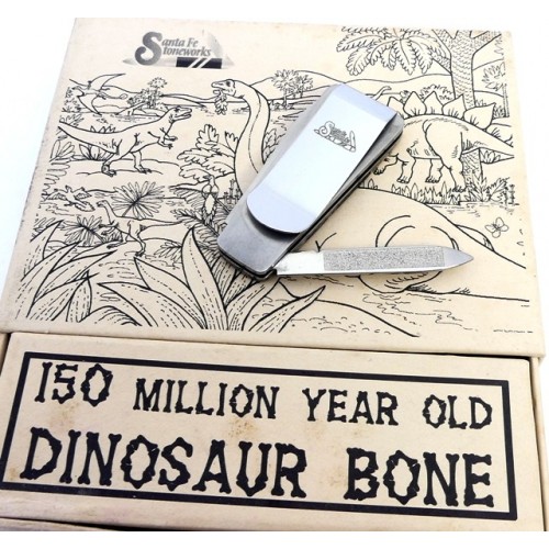 Santa Fe Stoneworks 150 Million Year Old Dinosaur Bone Camillus