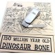 Santa Fe Stoneworks 150 Million Year Old Dinosaur Bone Camillus
