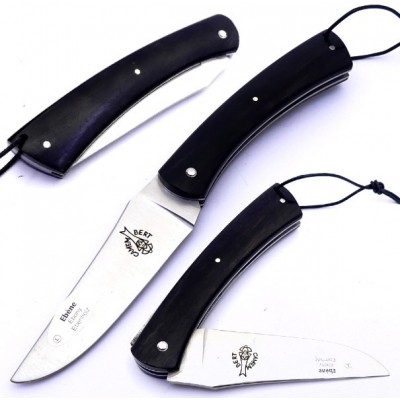 Le Camembert Ebano 78110