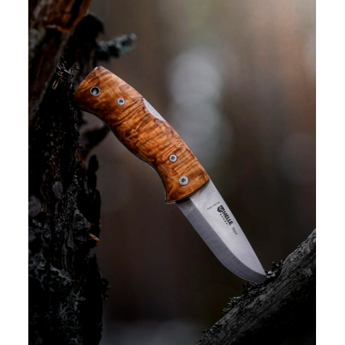 Helle Nipa 657