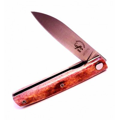 Salamandra Artemis Hueso 230622 Salamandra Artemis Hueso 230622