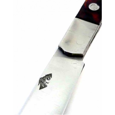 Ismael Laguna Cabritera Concha Antigua Ismael Laguna Cabritera Concha Antigua