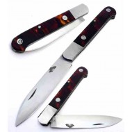 Ismael Laguna Cabritera Concha Antigua Ismael Laguna Cabritera Concha Antigua