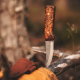 Roselli r100fdd Hunting Full Tang