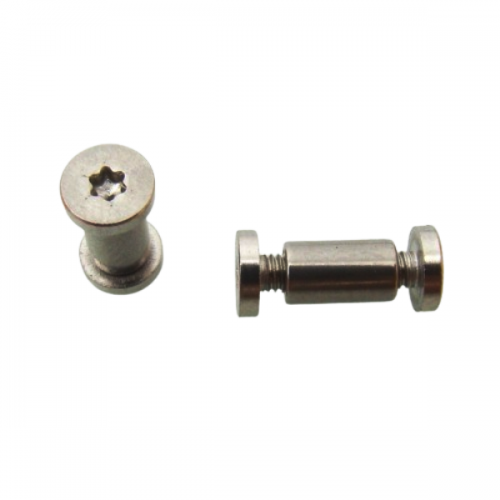 Pasador Torx Inoxidable 3306