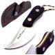 Muela Mouse 7m