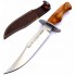 Muela Cazorla Olive caz16ol