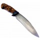 Paramas F. J. Lima Birch
