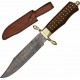 Brass Pin Bowie dm1058