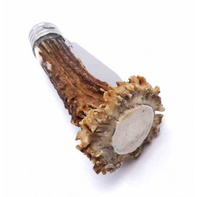 J. Bertran Lorente Corzo 12c27