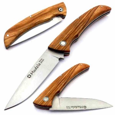 Mudela AL Olivo al84e6 Mudela AL Olivo al84e6