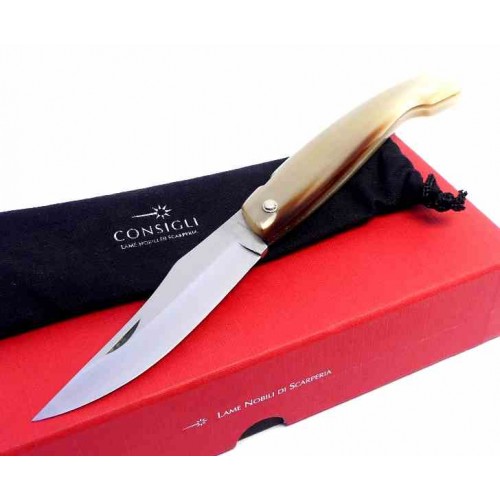 Conaz Vernante vec20