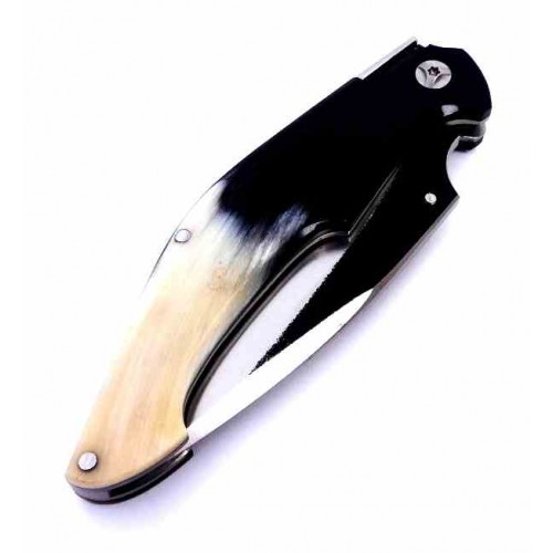 Barbudo Malagueña Toro Bravo M390