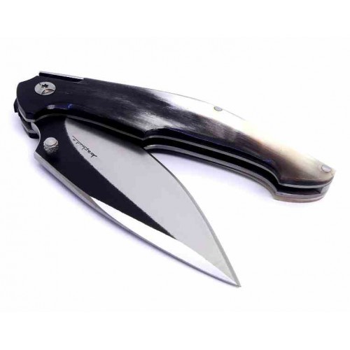 Barbudo Malagueña Toro Bravo M390
