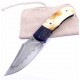 Milan Mozolic Fenix W2 Hamon Mamut