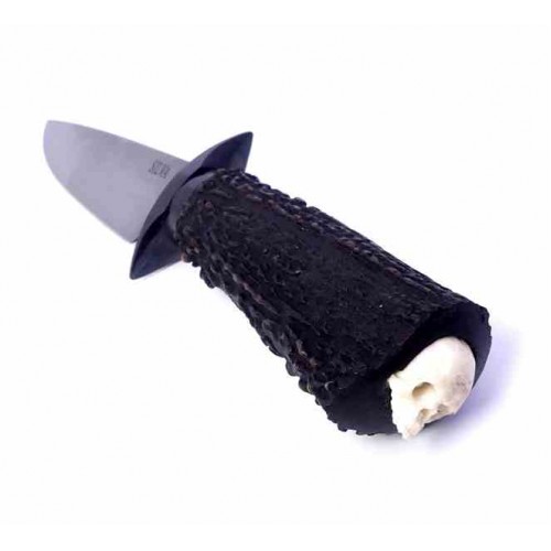 Cristian Silva Hunter Skull