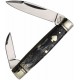 Rough Rider Black Appaloosa rr2489